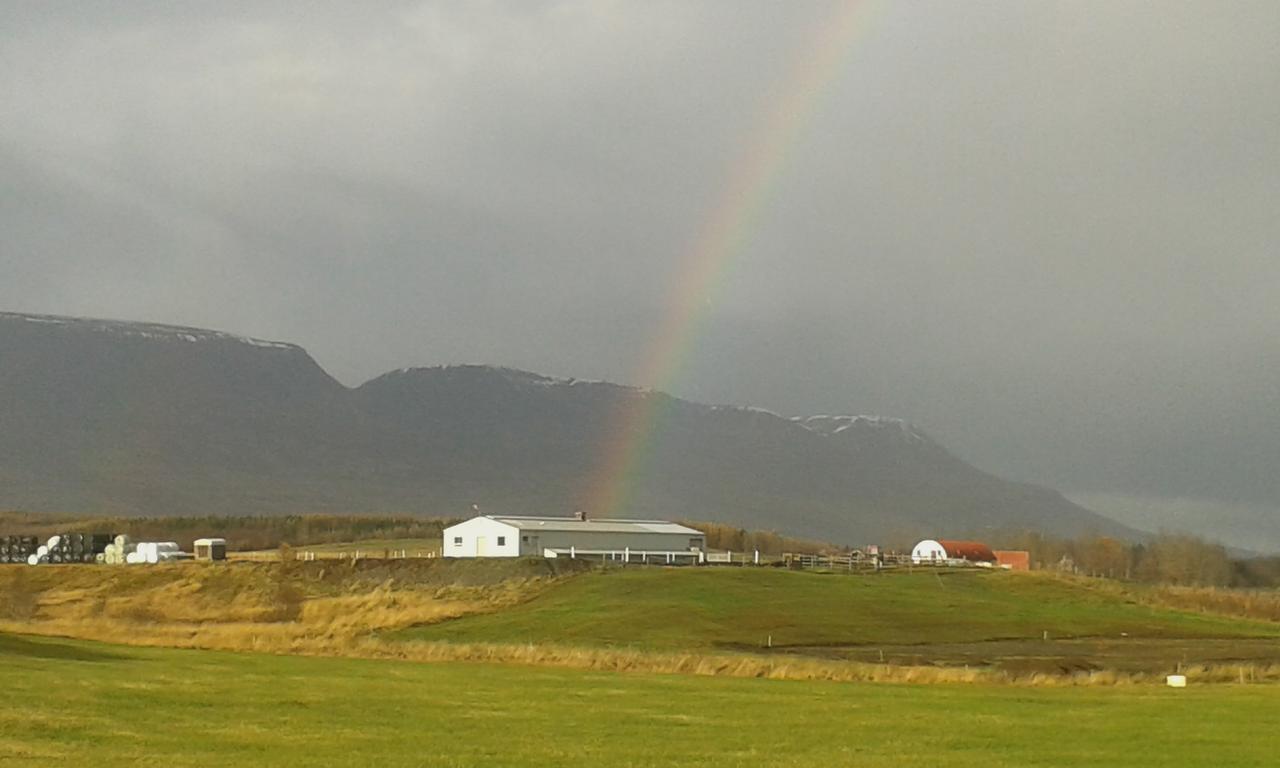 Glaesibaer 2 Guesthouse And Horsefarm Akureyri Exterior photo
